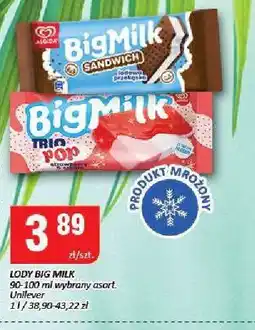Chorten Lody Big Milk Unilever oferta
