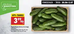 Biedronka Ogórek gruntowy oferta