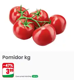 Dino Pomidor kg oferta