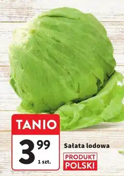 Intermarche Sałata lodowa Intermarche oferta