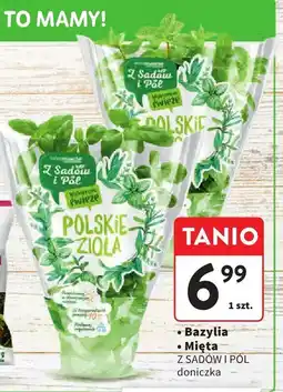 Intermarche Zioła Z Sadów i Pól bazylia, mięta oferta