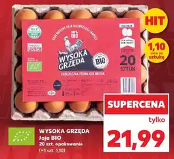 Kaufland Jajka Bio Wysoka Grzęda oferta