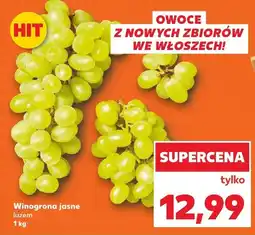 Kaufland Winogrona jasne Kaufland oferta