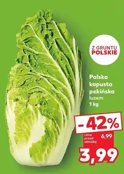 Kaufland Kapusta pekińska polska Kaufland oferta
