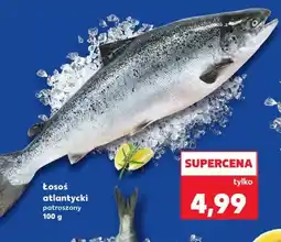 Kaufland Łosoś atlantycki oferta
