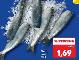 Kaufland Śledź oferta