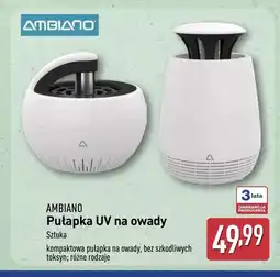 ALDI Pułapka na owady Ambiano oferta