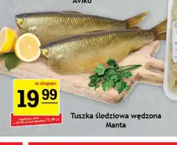 Gram Market Śledź Manta oferta