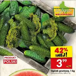 Twój Market Ogórek gruntowy Twój Market oferta