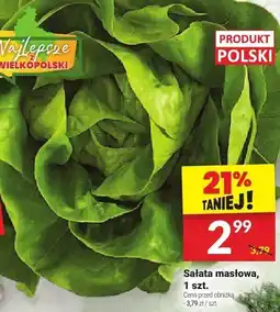 Twój Market Sałata masłowa Twój Market oferta