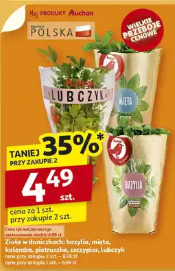 Auchan Zioła w doniczkach: lubczyk Auchan oferta