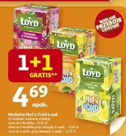 Auchan Herbata Hot'n Cold Loyd oferta