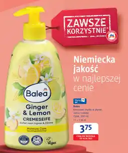 dm drogerie markt Balea Kremowe mydło w płynie oferta