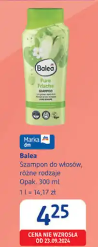 dm drogerie markt Balea Szampon do włosów oferta