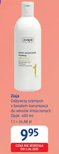 dm drogerie markt Ziaja Odżywczy szampon z kwiatem bananowca do włosów zniszczonych oferta