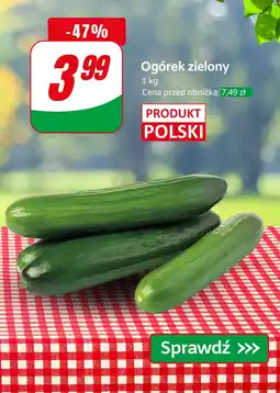 Dino Ogórek zielony Dino oferta