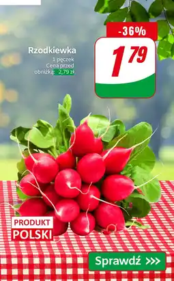Dino Rzodkiewka Dino oferta