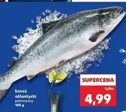 Kaufland Łosoś atlantycki patroszony oferta
