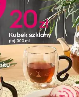 Pepco Kubek szklany 300 ml oferta