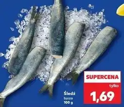 Kaufland Śledz tusza oferta