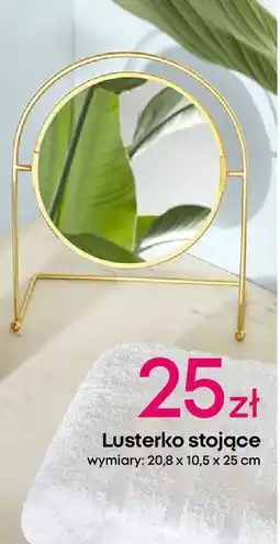 Pepco Lusterko stojące 20.8 x 10.5 25 cm oferta