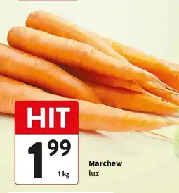 Intermarche Marchew oferta
