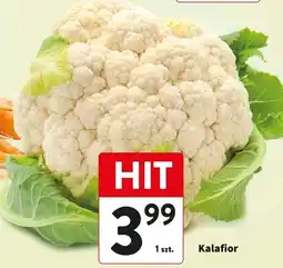 Intermarche Kalafior oferta