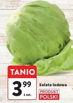 Intermarche Sałata lodowa polska kl.i oferta