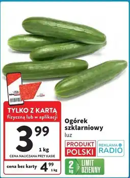 Intermarche Ogórek szklarniowy polska oferta