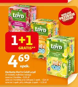 Auchan Herbata hot'n cold lemon lime & mint Loyd Tea The Magic Experience oferta