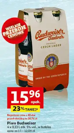 Auchan Piwo Budweiser oferta
