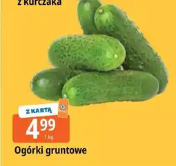 E.Leclerc Ogórek gruntowy oferta