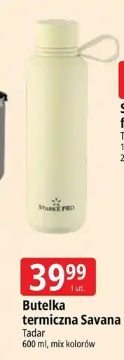 E.Leclerc Butelka termiczna savana 600 ml Tadar oferta