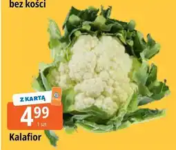 E.Leclerc Kalafior oferta