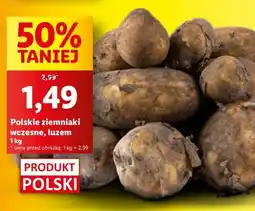 Lidl Ziemniaki wczesne polskie Lidl oferta