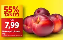 Lidl Nektarynki Lidl oferta