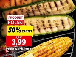 Lidl Cukinia Lidl oferta