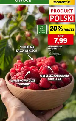 Lidl Maliny polskie z Legsadu Lidl oferta