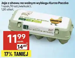 Delikatesy Centrum Jajka z chowu na wolnym wybiegu L Kurza Paczka oferta