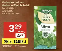Delikatesy Centrum Herbata ziołowa Herbapol Zielnik Polski mięta oferta