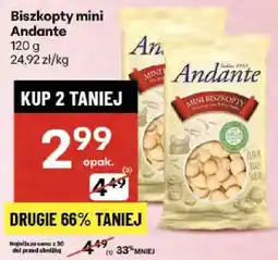 Delikatesy Centrum Biszkopty mini Andante oferta