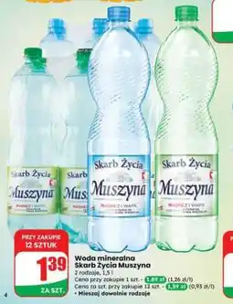 Dino Woda mineralna Skarb Życia Muszyna oferta