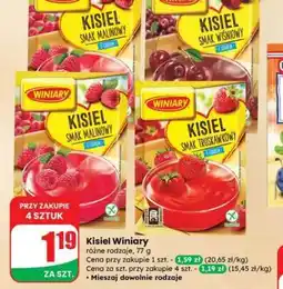 Dino Kisiel Winiary oferta