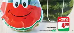 Dino Arbuz mini oferta