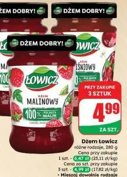 Dino Dżem Łowicz oferta