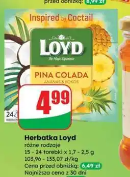 Dino Herbatka Loyd oferta