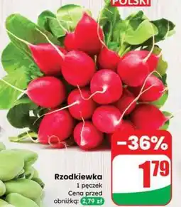 Dino Rzodkiewka oferta