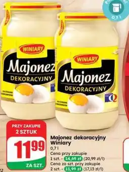 Dino Majonez dekoracyjny WINIARY oferta