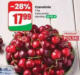 Dino Czereśnia oferta