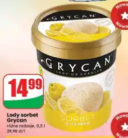 Dino Lody sorbet Grycan oferta
